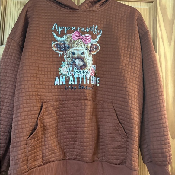 Tops - Brown Graphic Hoodie with Attitude Print